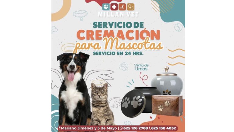 Imagen 24 02 26 a las 11.34 a.m. 1 768x435